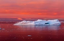 Red Carbon: Melting Ice’s Hidden Enemy